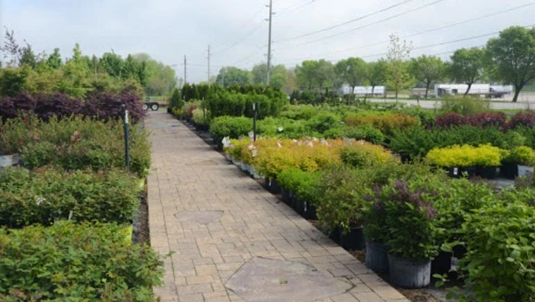 Our garden center in Des Moines, IA.