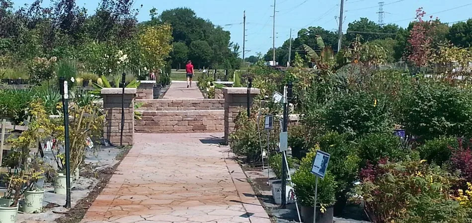 Our garden center that is open to the public that has many options for perennials, annuals, trees, and plants in Des Moines, IA.