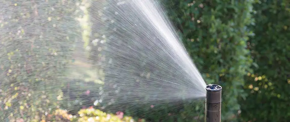 Custom landscape irrigation system watering bushes at a West Des Moines, IA home.