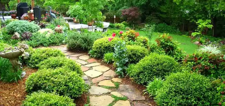 A custom walkway built from stone was the preference communicated to A+ Lawn & Landscape by this Ankeny homeowner.
