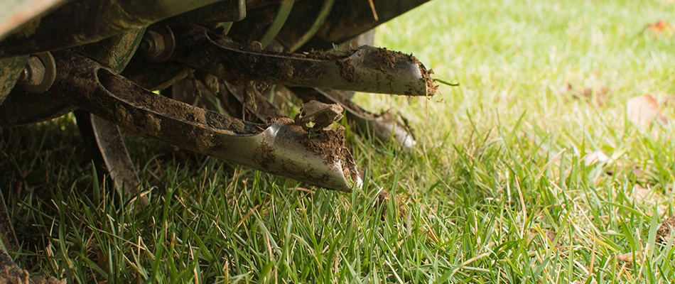 Our aeration machine pulling up plugs of soil behind a home in Polk City, IA.