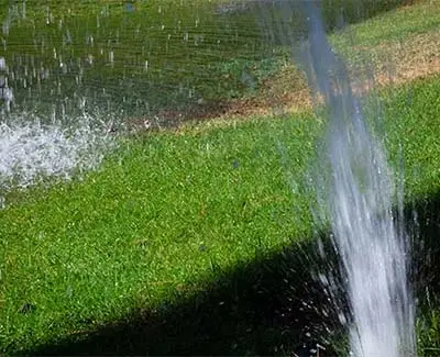 Broken irrigation from winter damage in Des Moines, IA.