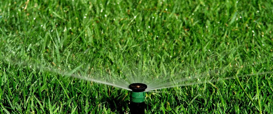 Green grass and running sprinkler head in Capitol Heights, IA.