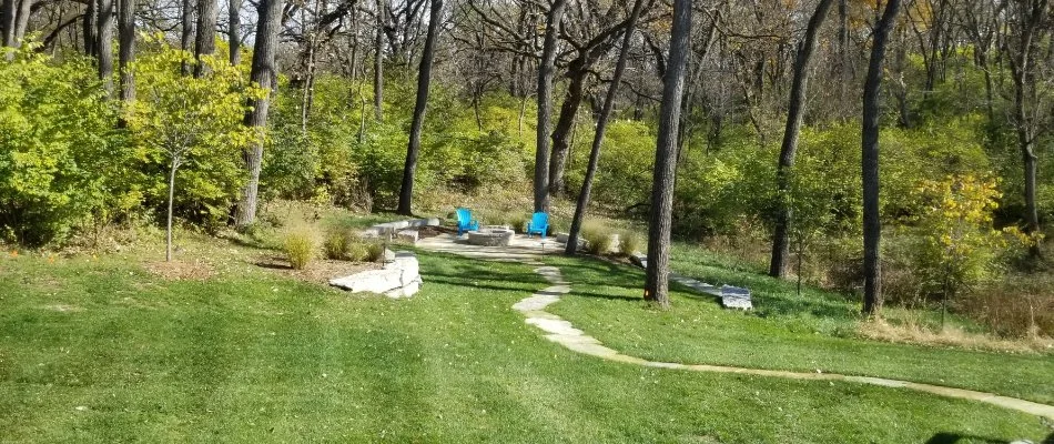 Healthy green lawn in Cumming, IA, with tree, shrubs, and a patio.