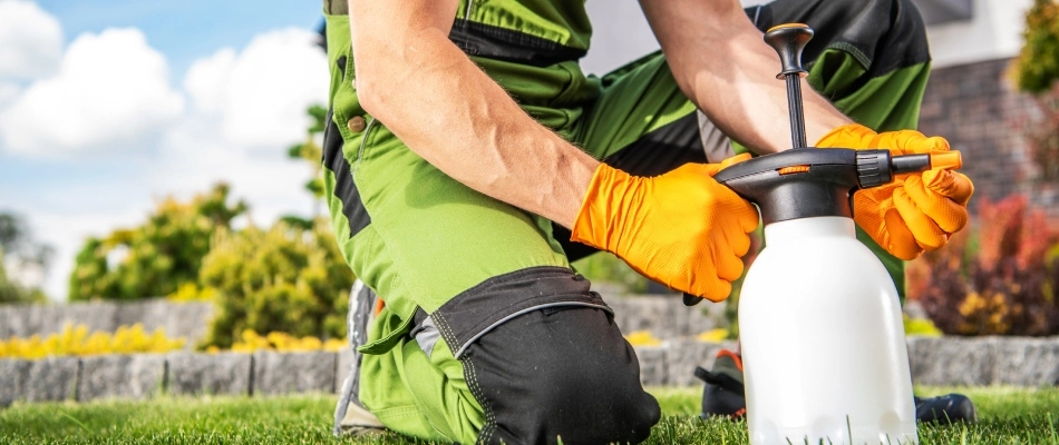 Professional preparing fungicide treatment for lawn disease in Des Moines, IA.