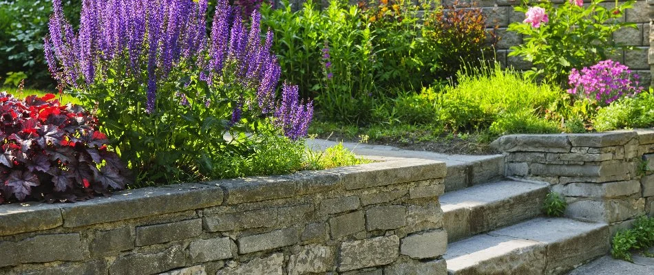 Stone retaining wall in Capitol Heights, IA, with plants and steps.