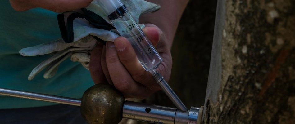 Tree injection for Oak diseases found in tree in Ankeny, IA.