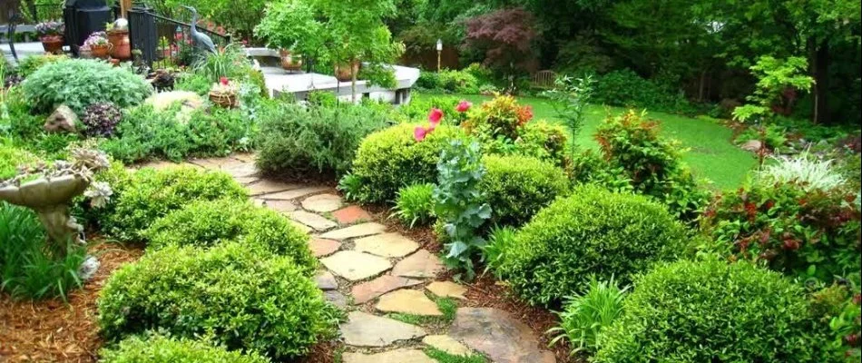 Plants on each side of a walkway on a property in Bloomfield-Allen, IA.